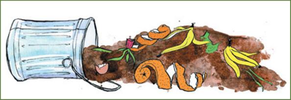 compost bin illustration