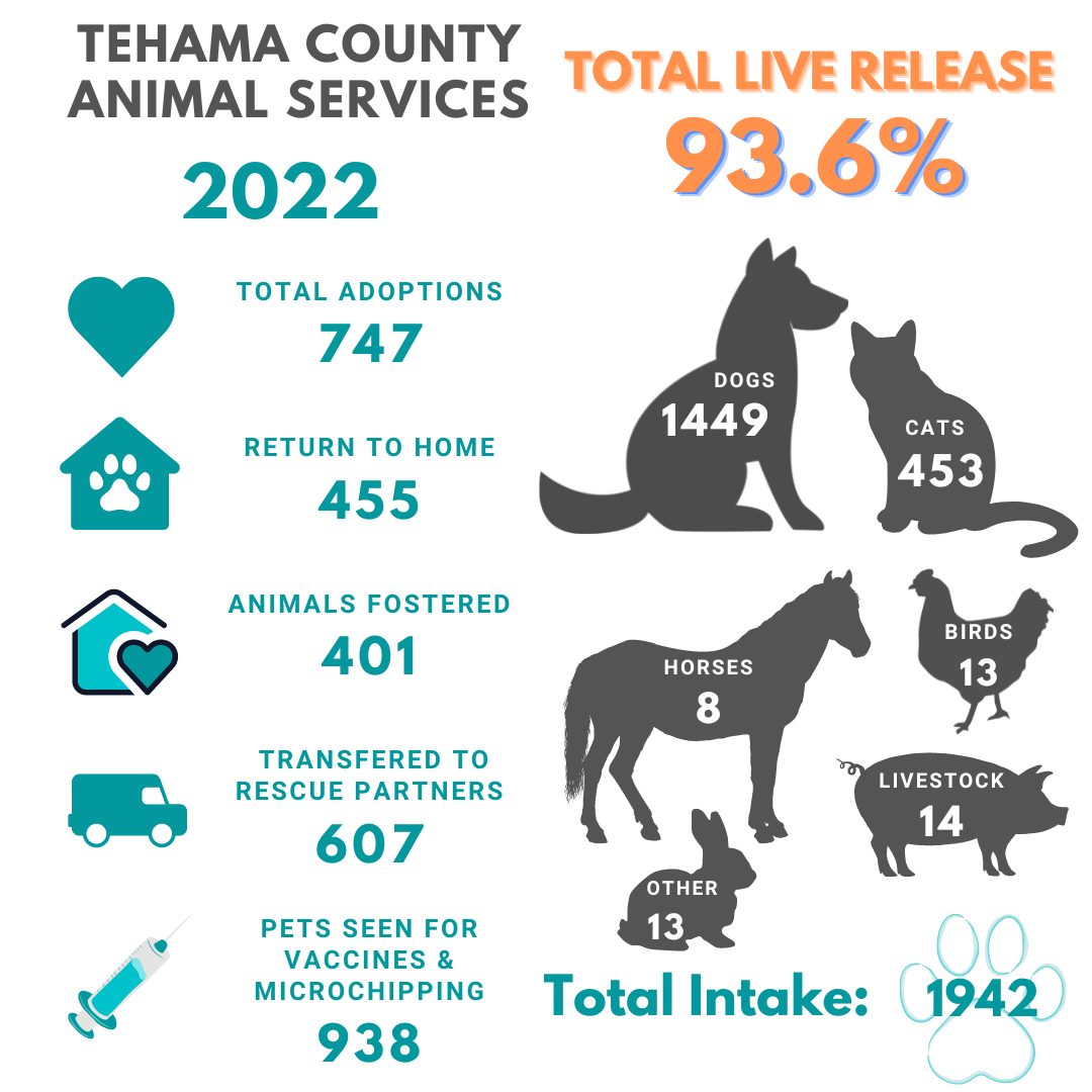 Shelter Statistics Tehama County